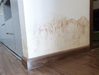 Cách làm sạch các vết bẩn trên tường với hóa chất vệ sinh sàn công nghiệp - ch nhanh chóng nhất mà không phải sơn lại mới.

Yên tâm đã có chúng tôi sẽ giúp bạn, vệ sinh làm sạch tường đơn giản, hiệu quá, máy vệ sinh công nghiệp hiện đại tiết kiệm nhiều chi phí bằng