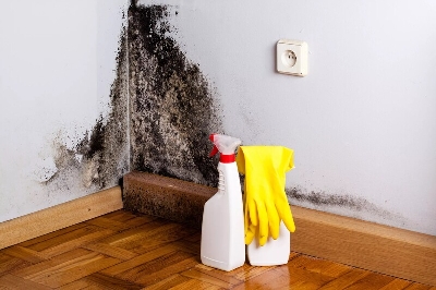 Cách xử lý với từng loại tường ẩm mốc - ng trong nhà và mỹ quan của ngôi nhà.
Nấm mốc trên tường nhà là mua máy vệ sinh công nghiệp tại đà nẵngmột vấn đề cực kỳ khó chịu và tiềm ẩn nhiều nguy cơ. Nó yêu cầu chúng ta cần phải h