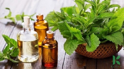images/thumbnail/loai-nuoc-than-thanh-tu-che-giup-ban-duoi-cac-loai-kien-dang-ghet_tbn_1591596058.jpg