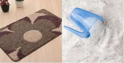 Nếu sở hữu chiếc thảm bạn nên vệ sinh thường xuyên -  sinh thường xuyên, thì đây được xem là mần bệnh cho người sử dụng.

Chúng tôi hiểu rằng bạn có một sự lựa chọn trong dịch vụ giặt thảm. Nhưng máy hút bụi công nghiệp tại bình dương khôn