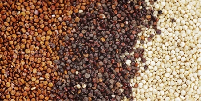 Quinoa đến nay vẫn xứng đáng với cái tên siêu thực phẩm -  tôi tìm hiểu điều gì đã báo giá máy chà sàn công nghiệp làm quinoa trở nên đặc biệt đến vậy.

Hạt quinoa là gì?
Quinoa, hay tiếng Việt là hạt diêm mạch, là một loại hạt từ cây quinoa Chenopo